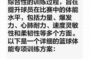 篮球运动员体能训练参考文献怎么写