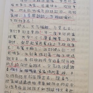 刻苦训练篮球的过程 作文50字左右