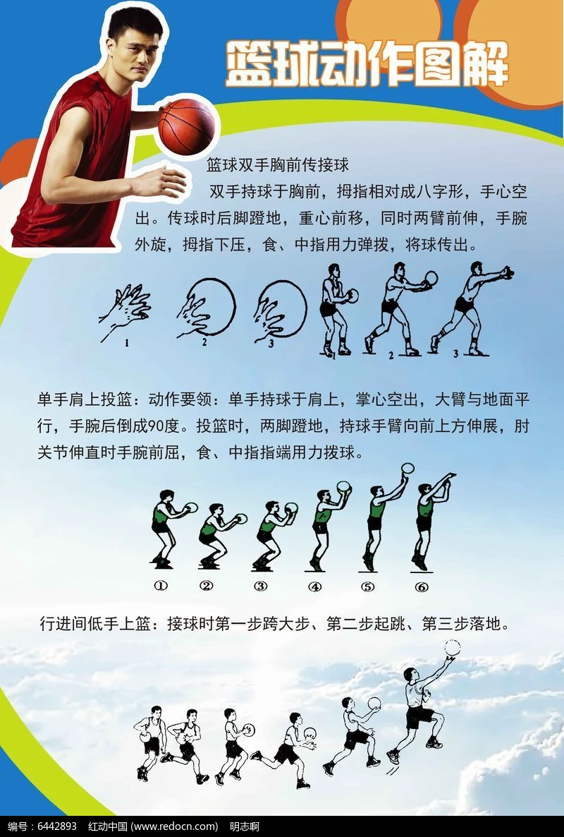 如何通过力量训练改善篮球运动员的速度和敏捷性？_2